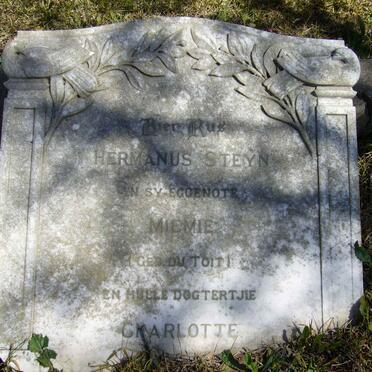 STEYN Hermanus &amp; Mimmie DU TOIT :: STEYN  Charlotte