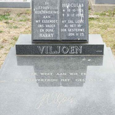 VILJOEN Hercules 1931-1985