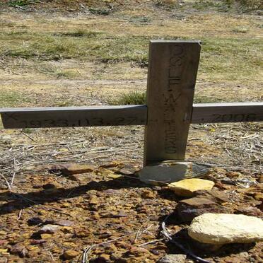 WALTERS Dolf 1933-2006