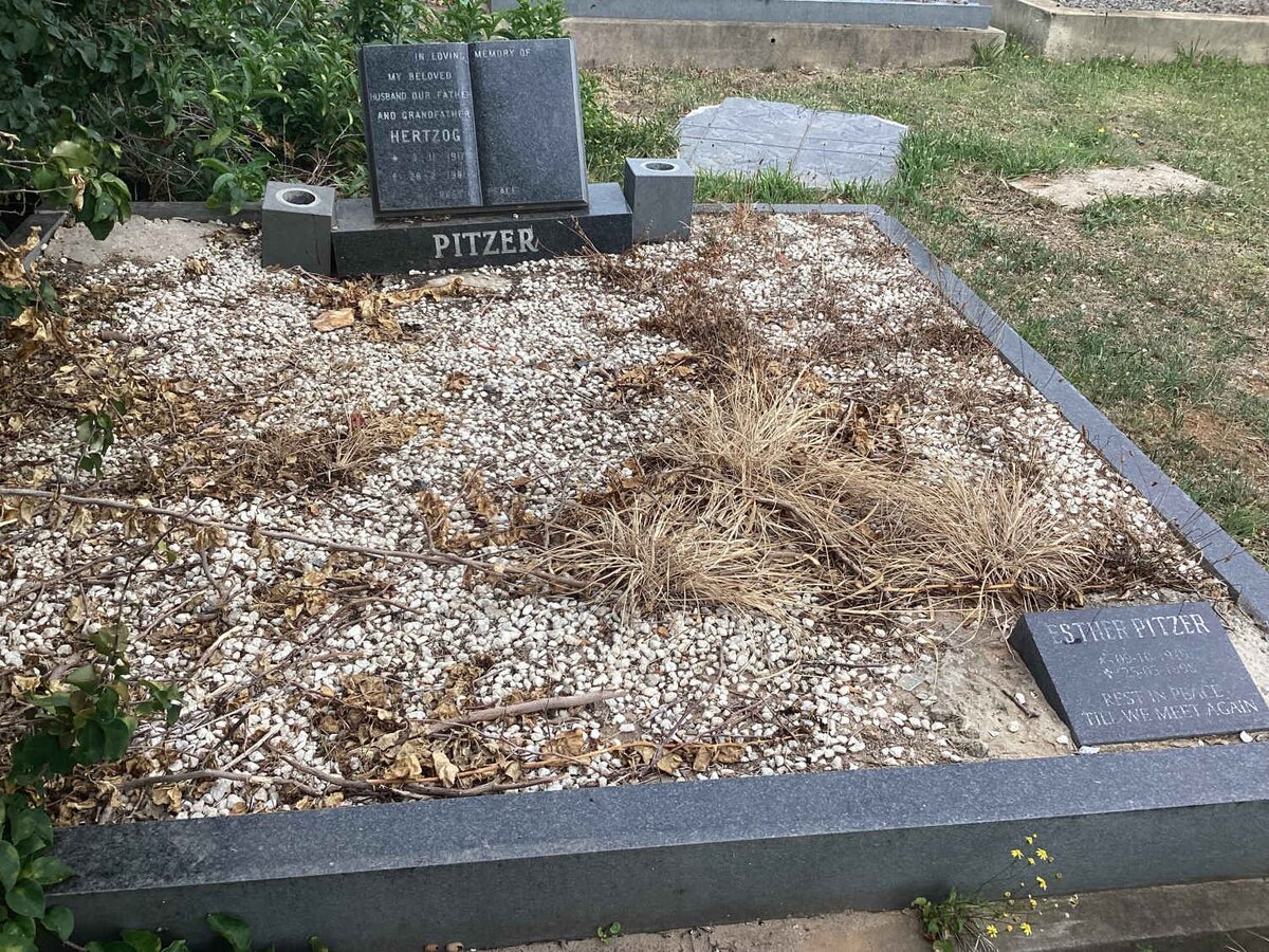 PITZER Hertzog 1917-1981 &amp; Esther 1919-1998