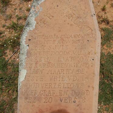 NEL Hester Maria Susanna 1875-1927