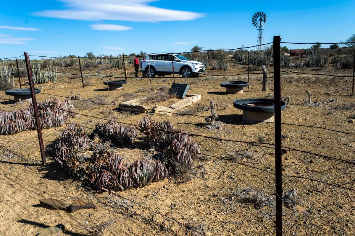 1. Overview / Oorsig