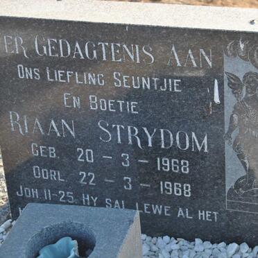 STRYDOM Riaan 1968-1968
