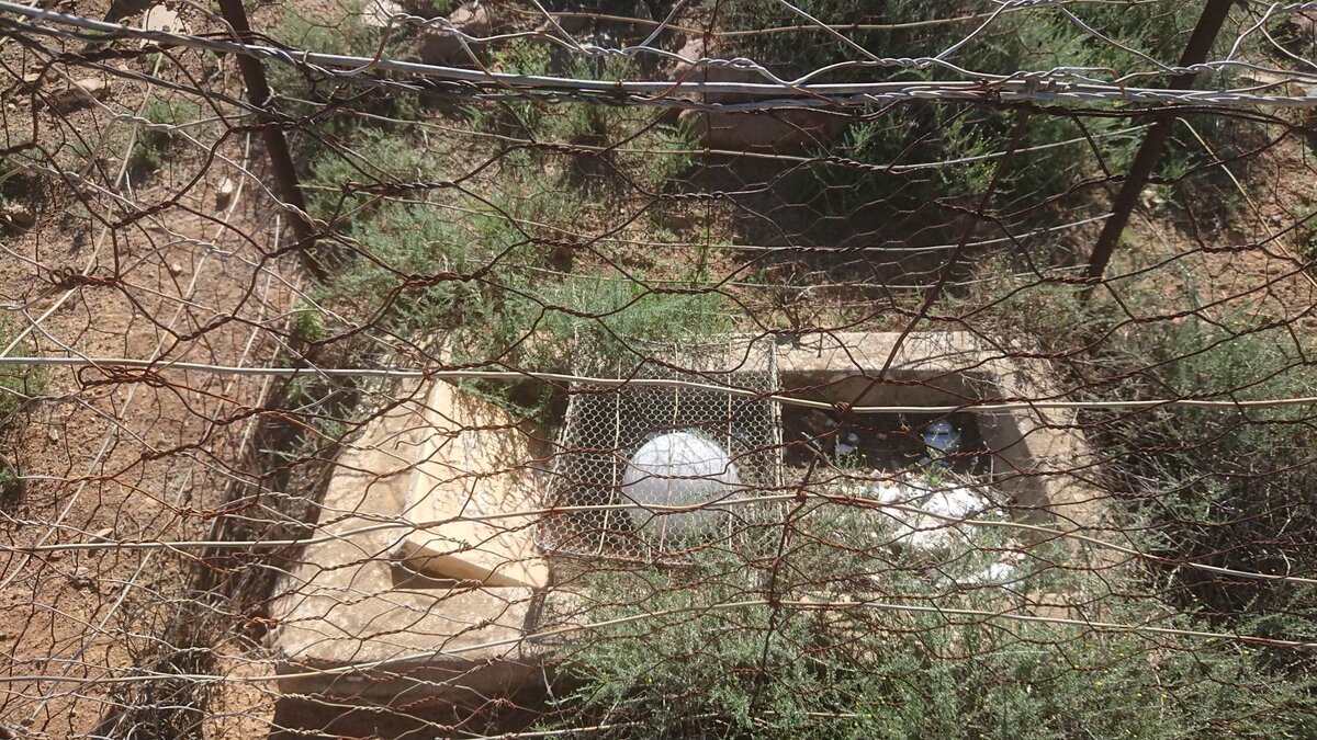 PIETERSE Baba 1939-19??