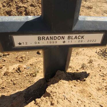 BLACK Brandon 1999-2022 