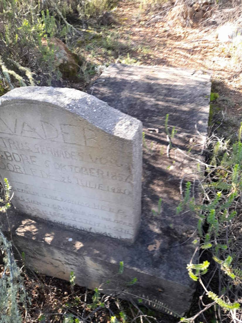 VOSLOO Petrus Gerhardus 1856-1920