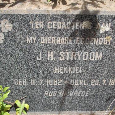 STRYDOM J.H. 1882-1955