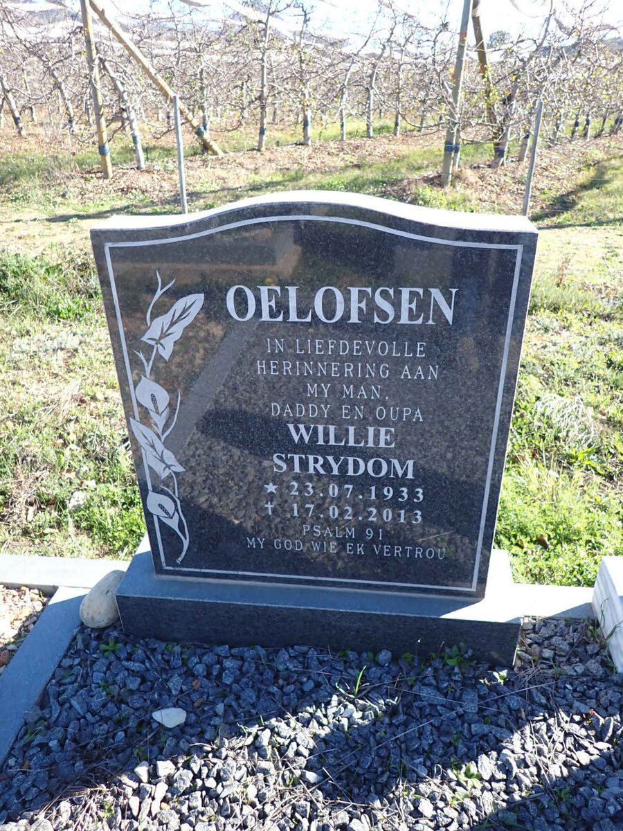 OELOFSEN Willie Strydom 1933-2013