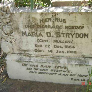 STRYDOM Maria D. nee  MULLER 1854-1938