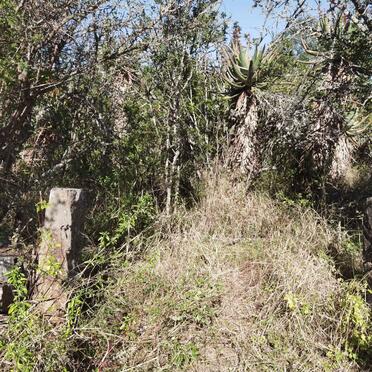 2. Overview / Oorsig