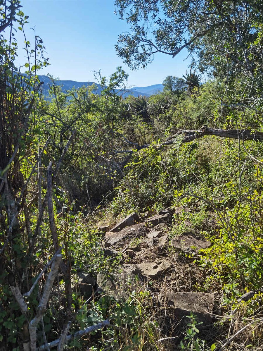 3. Overview / Oorsig