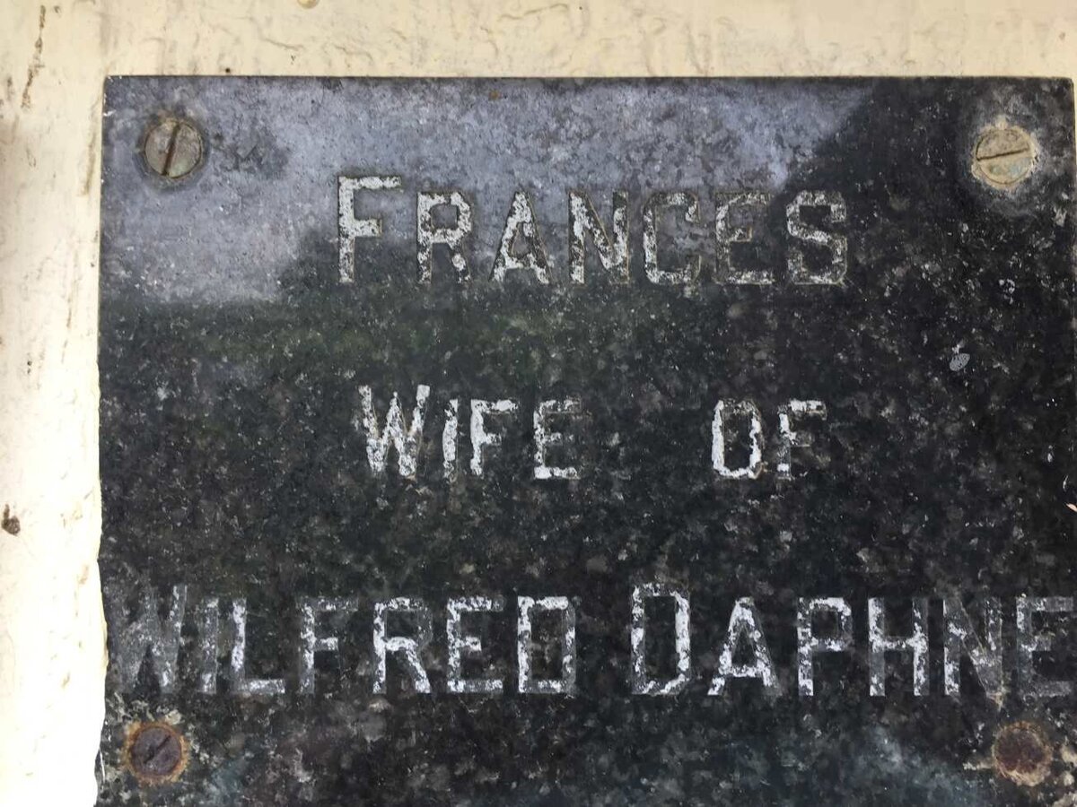 DAPHNE Frances