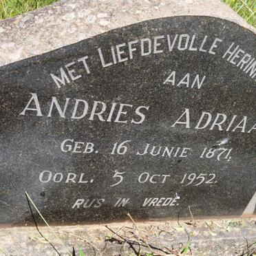 ADRIAAN Andries 1871-1952