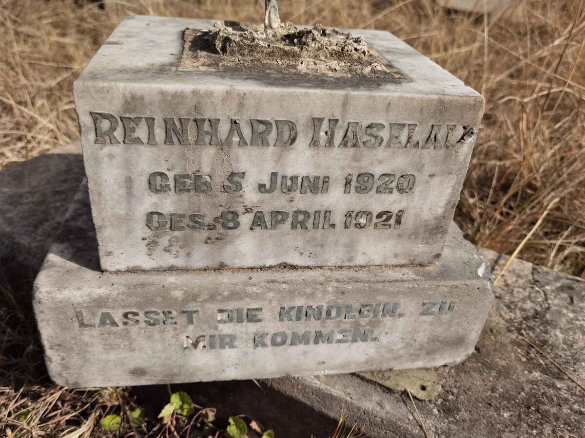 HASELAU Reinhard 1920-1921