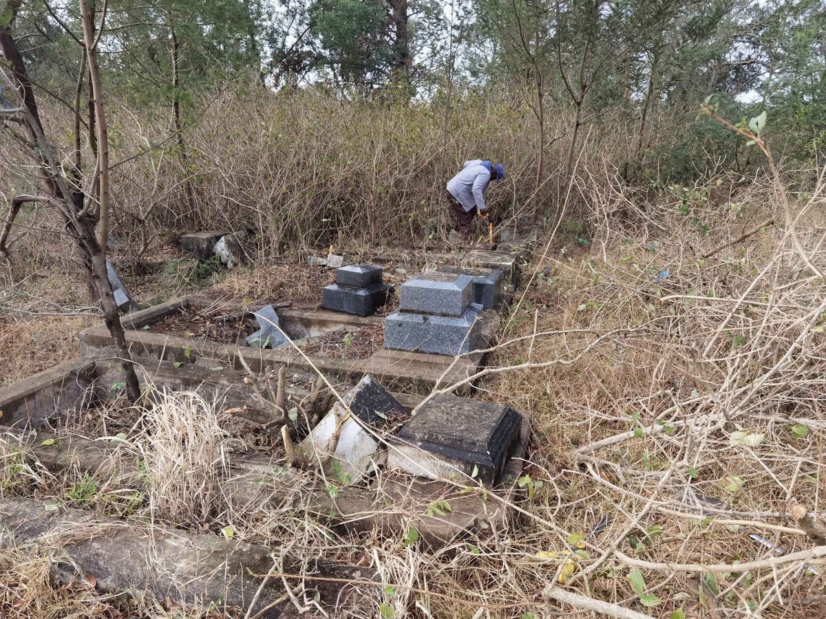 6. Overview / Oorsig