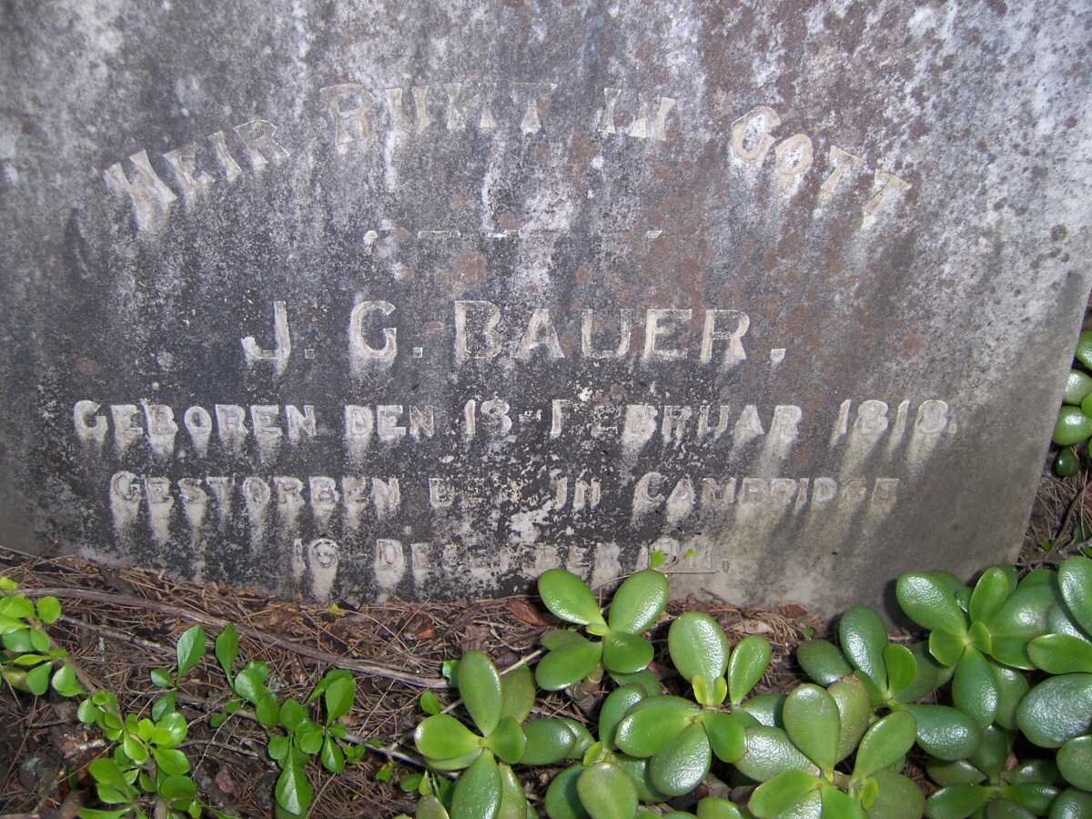 BAUER J.G. 1818-1911