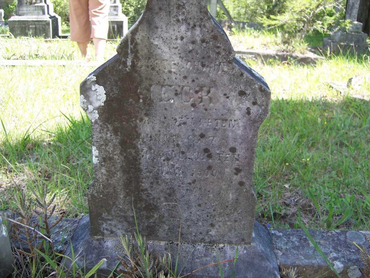 RIEGR Auguste Johanne 1887-1900