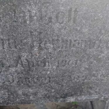 ? Gustav A. 1901-1902