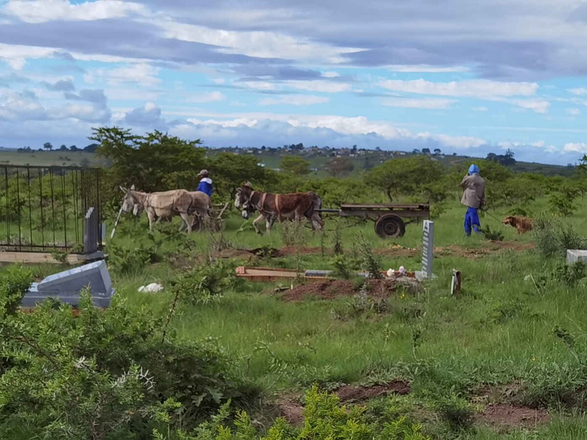 08. Oorsig / Overview