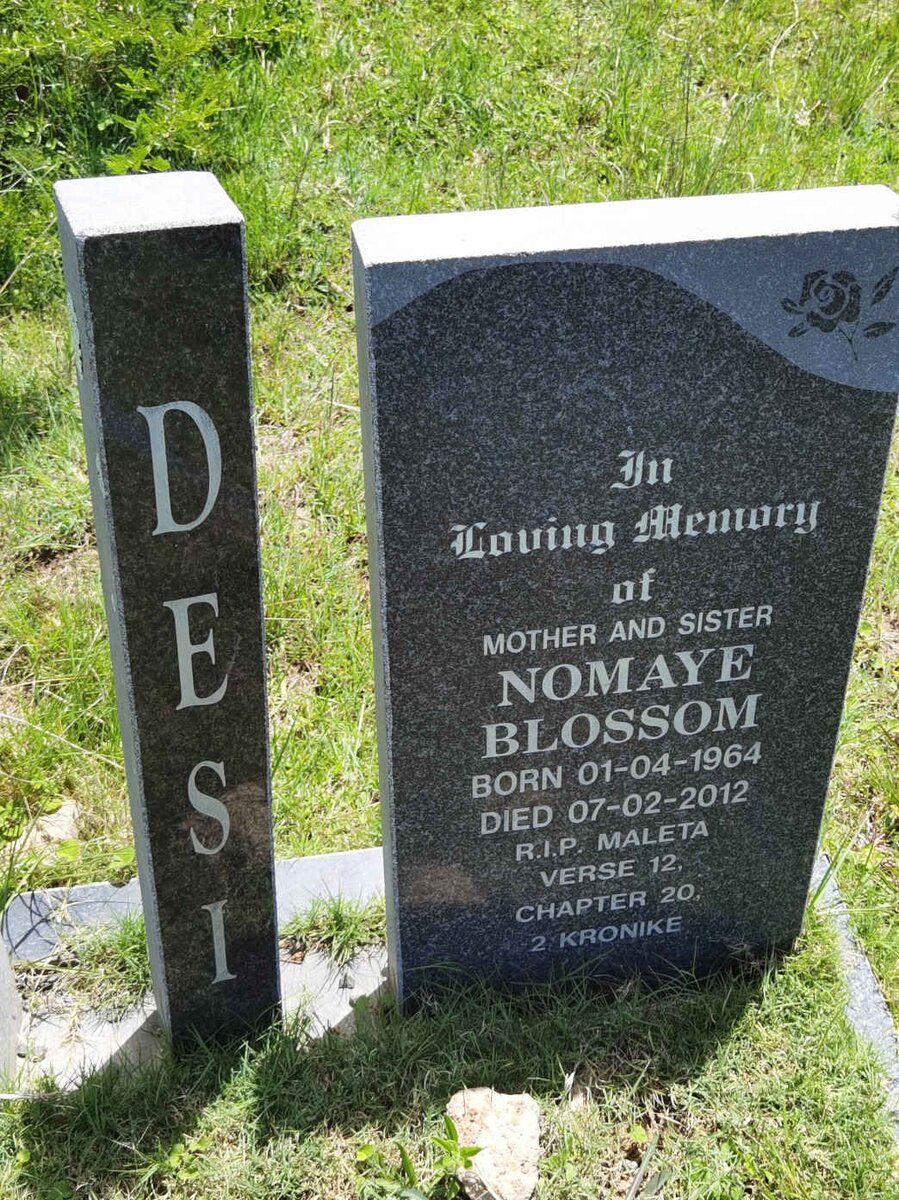 DESI Nomaye Blossom 1964-2012