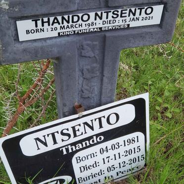NTSENTO Thando 1981-2015 :: NTSENTO Thando 1981-2021