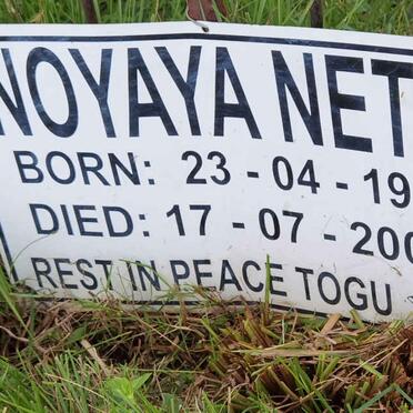 NETE Noyaya 1919-2005