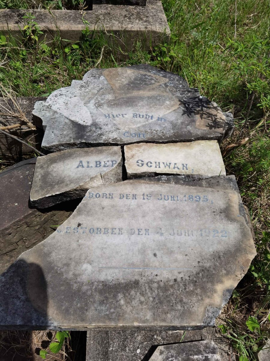 SCHWAN Albert 1895-1922