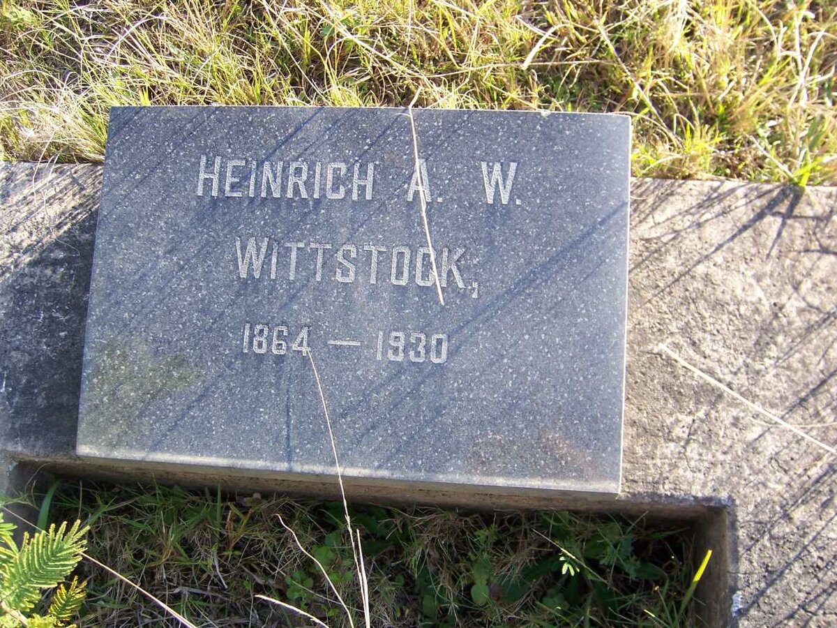 WITTSTOCK Heinrich A.W. 1864-1930
