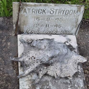 STRYDOM Patrick 1945-1945