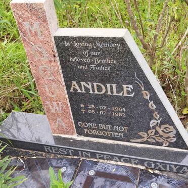 MGCUWA Andile 1964-1982