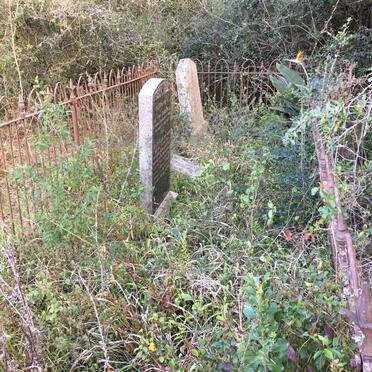 3. Overview / Oorsig