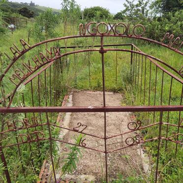 VAZI Melikhaya 1975-2008