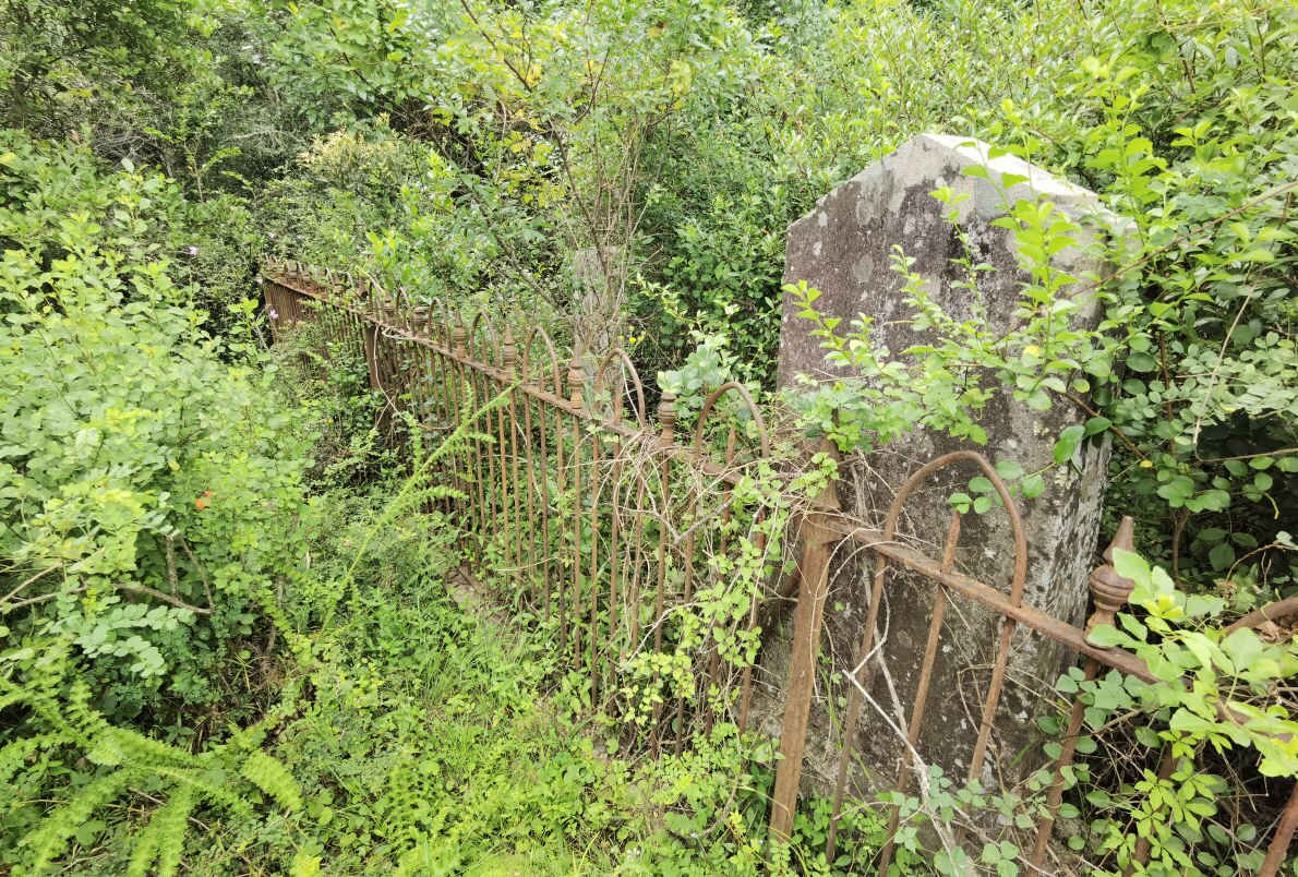 z02. Oorsig / Overview ROSS : ERSKINE family plot