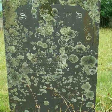 PERKS Sophia Elizabeth