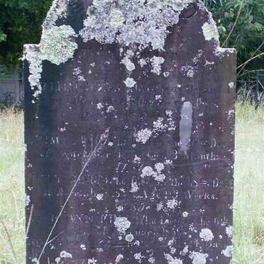 KING William James -1865 :: KING Jesse -1858 :: KING Emma -1857 :: KING Mary Ann 1859