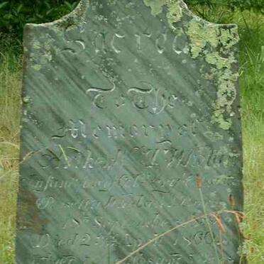 WHELAN Arthur W.T. -1860 :: WHELAN Ernest W.M. 1864