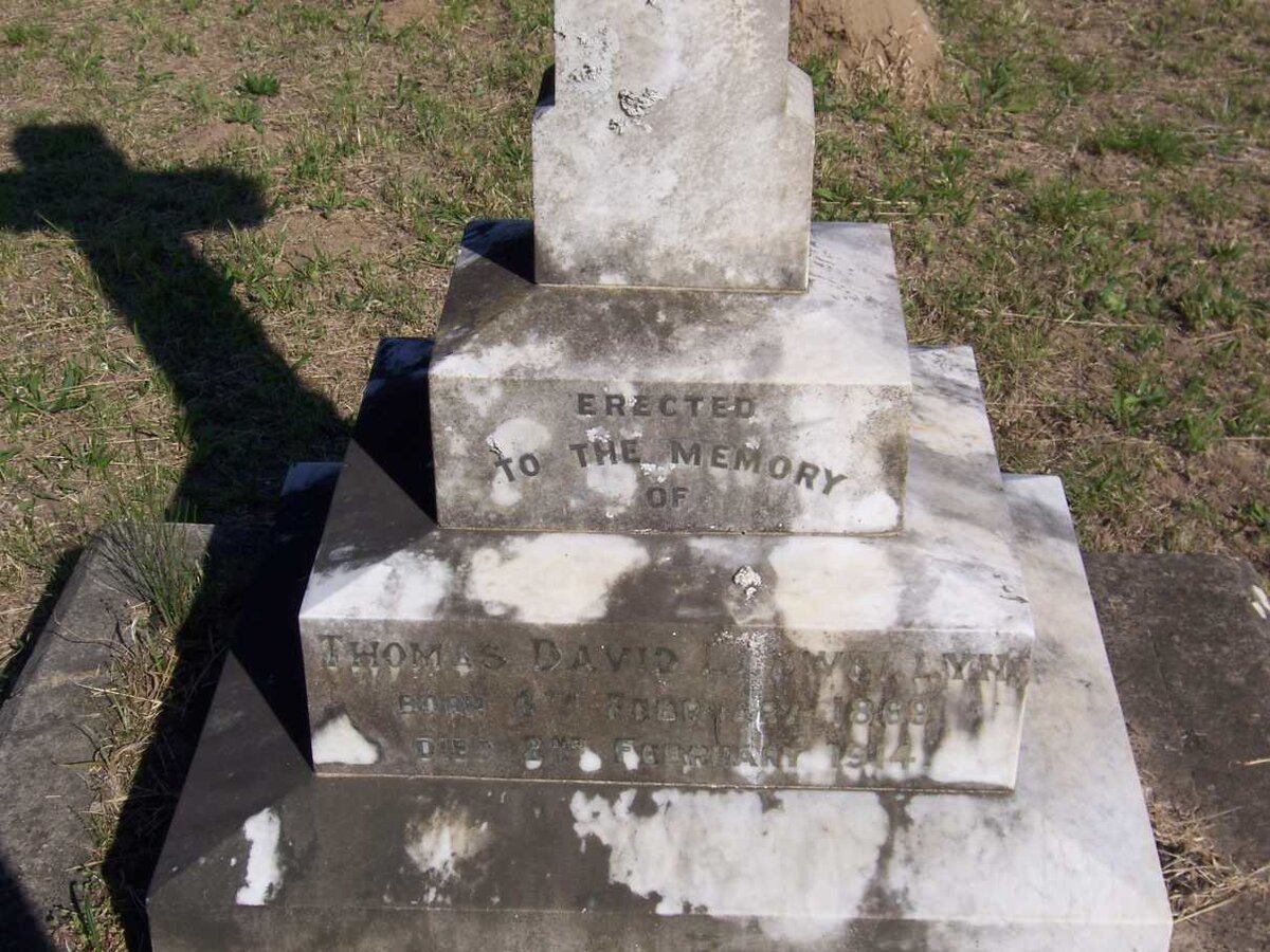 ? Thomas David Llewellyn 1869-1914