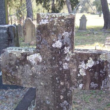 AGER August, Hasen -1869