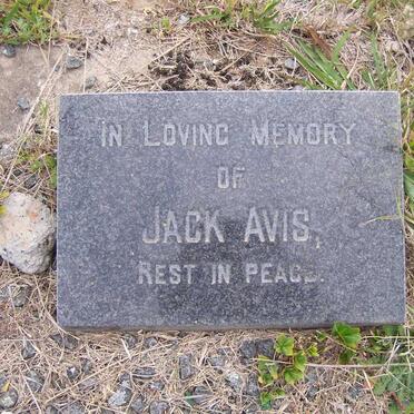 AVIS Jack 