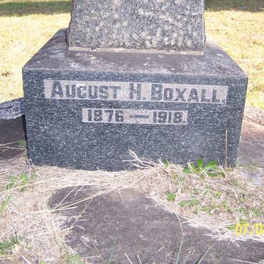 BOXALL August H. 1876-1918