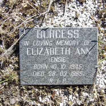 BURGESS Elizabeth Ann 1945-1995
