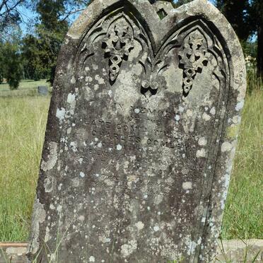 COMLEY William Charles -1878