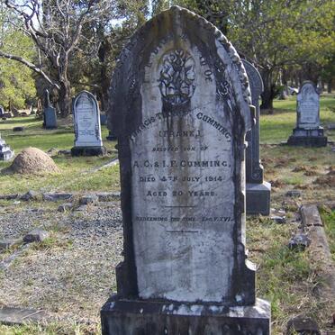 C - Surnames :: Vanne - C