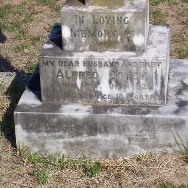 DOVEY Alfred 1867-1921 :: DOVEY Desmond