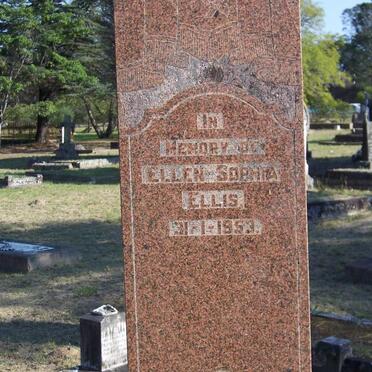 ELLIS William B. -1940 & Ellen Sophia -1953 _1