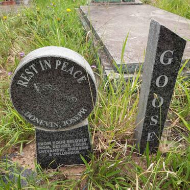 GOOSEN Donevin Joseph