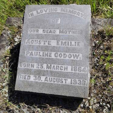 Go - Surnames starting with the letters Go 