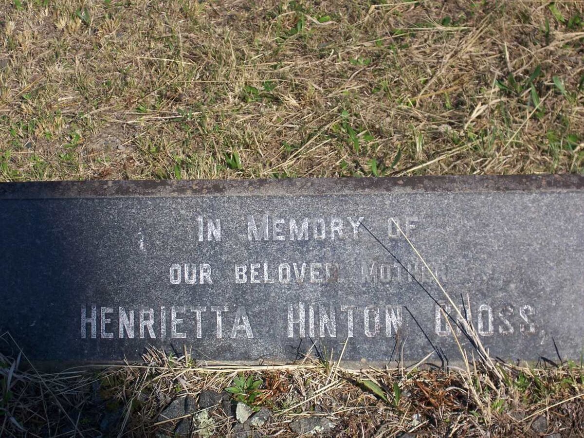 GROSS Henrietta Hinton