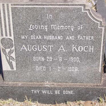 KOCH August A. 1900-1928
