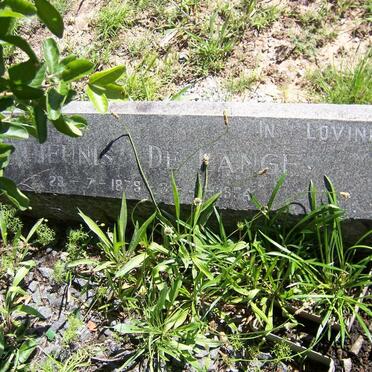 LANGE Theunis, de 1879-1954